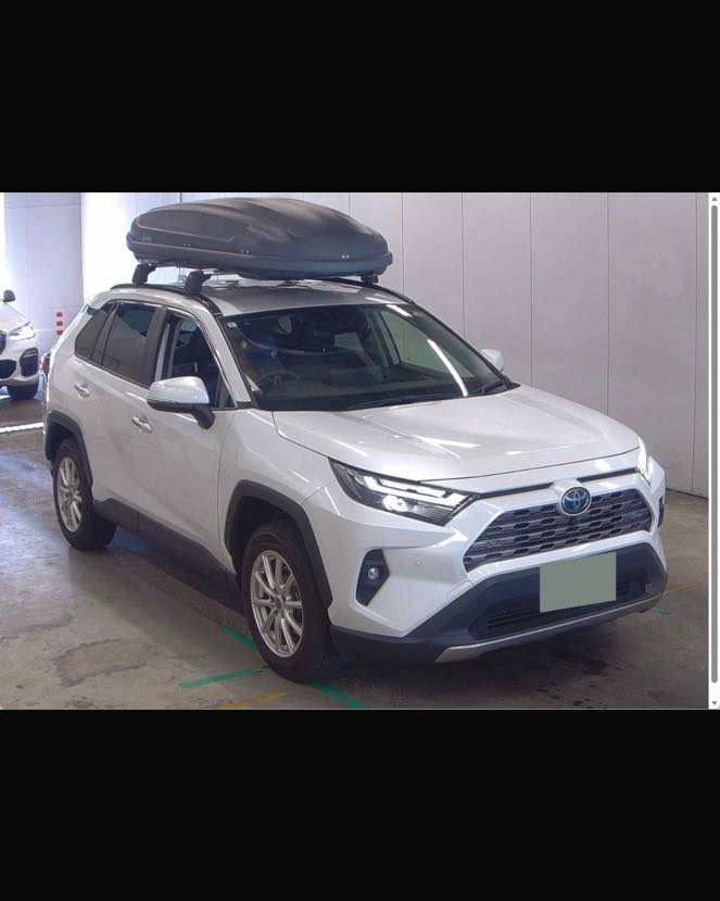 TOYOTA RAV4 2024